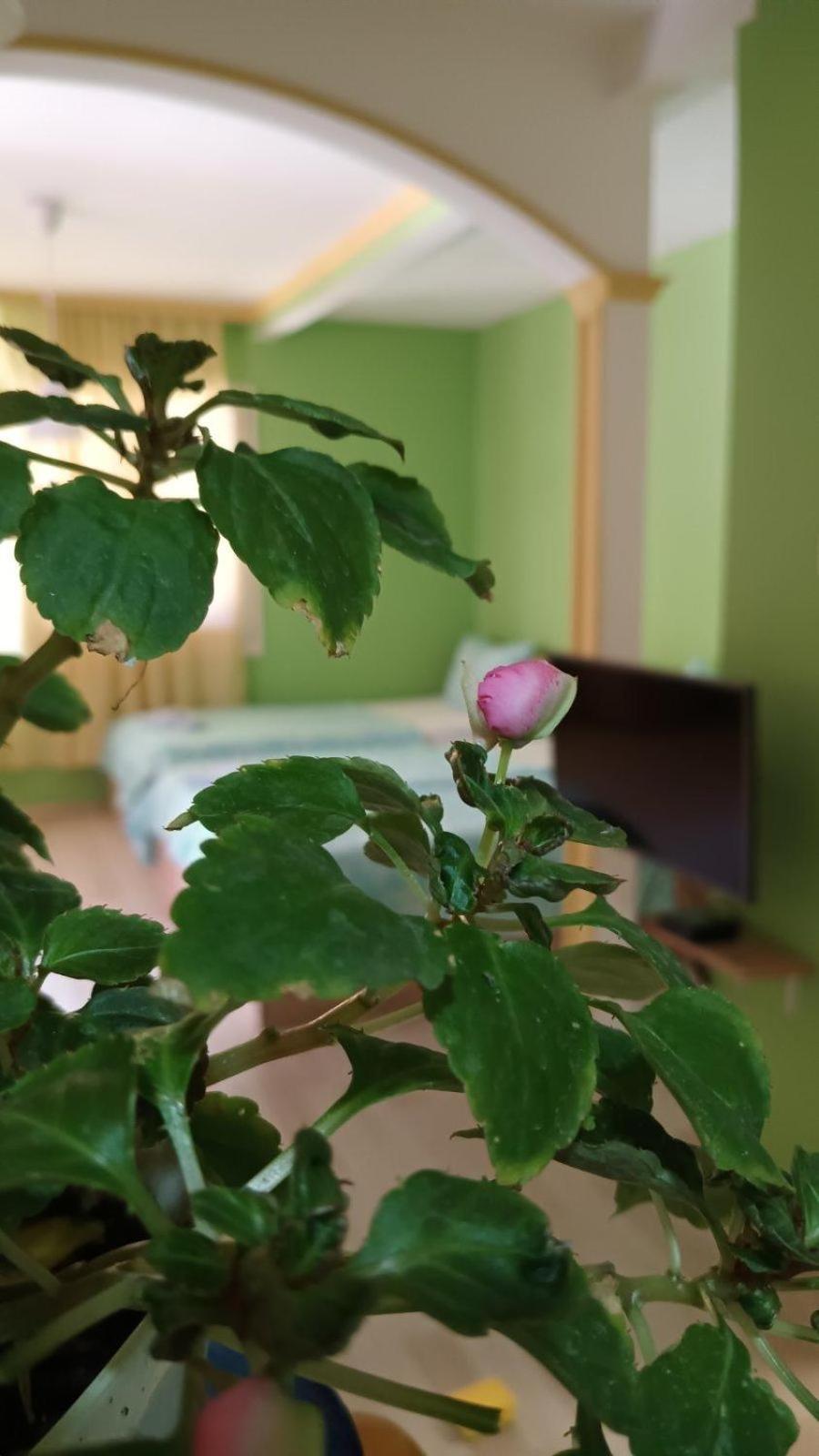 Villa Re3Ca Skopje Luaran gambar